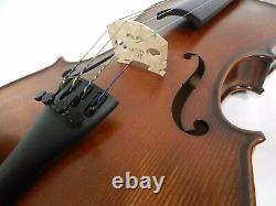4/4 Size Violin, Stradivari Style, Professional Set up+ Despiau Bridge+Case+Bow