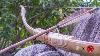 Add Horns To The Small Recurve Bamboo Bow Bow And Arrow