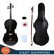 Advance 4/4 Full Size Cello Maple Spruce Ebony Fittings Hand Made with Bag Bow