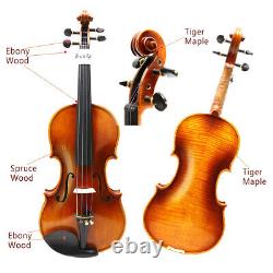 Advance 4/4 Full Size Violin Hand made Violins Carrying Case Bow Ebony Fittings