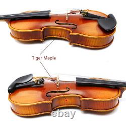 Advance 4/4 Full Size Violin Hand made Violins Carrying Case Bow Ebony Fittings