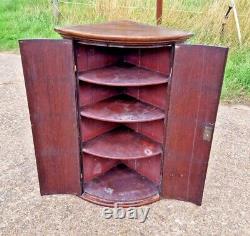 Antique Georgian Oak Bow Fronted Carved Corner Cabinet With Shelves Cupboard
