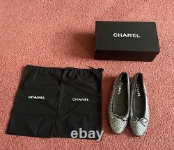 Chanel Logo Python Exotic Snakeskin Grey Metal Silver Ballerina Flat Shoe 39.5