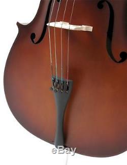 Classic Cantabile 3/4 Size Student Cello Set Bow Gigbag Handmade Instrument Set
