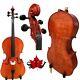Copy Stradivari left Cello 4/4 Old spruce, 100% Hand Made with Bag, Bow#15933