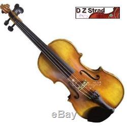 D Z Strad Model 709 Violin Handmade with Bam Case, Bow, Shoulder Rest & Rosin 4/4