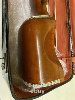 Dilruba highly professional concert quality hand made with bow with leather Case