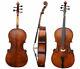 Electric Accoustic 5strings Cello Spruce+Maple Hand made Free Bag+Bow+Rosin