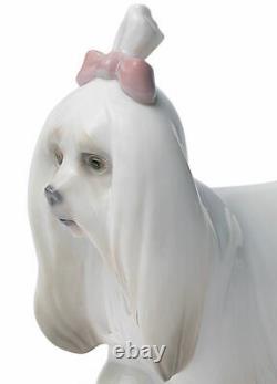 Lladro Maltese Dog Figurine #8368 Brand New In Box Bow Cute Puppy Save$$ F/sh
