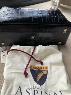 Luxury, Aspinal of London tote bag large/ leather/ deep Shine Black Soft Croc