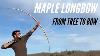 Making A Maple Longbow From Tree To Bow