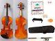 Master Violin 4/4 Flame maple hand Made Sweet Sound With Case Bow Violin parts