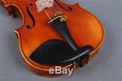 Master Violin 4/4 One Piece Tiger Flame Maple Handmade Violin Case Bow