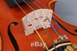 Master Violin 4/4 One Piece Tiger Flame Maple Handmade Violin Case Bow