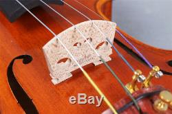 Master Violin 4/4 Tiger Flame Maple Handmade Stradivari Violin Case Bow #401