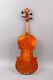 Master yinfente violin Handmade Stradivari model Violin+bow+case+rosin #3121
