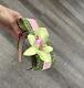 New Handmade Designer Fascinator Headband Green Pink Velvet Bow Floral Orchid