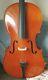 Paesold Cello 1978 Model 603 with Paesold Bow