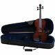 Palatino Vn-450 Hand Carved Allegro Violin Outfit With Case & Bow, 3/4 Size