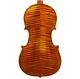 Pro Violin 4/4 Stradivari Hand-made from 1 Piece Back + Bow + Case #15