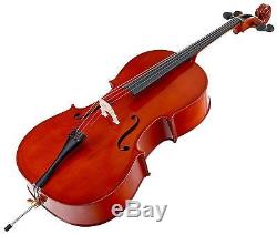 Professional 4/4 Cello 4 Strings Bridge Bow Gigbag Stand Pin Handmade Rosewood