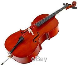 Professional 4/4 Cello 4 Strings Bridge Bow Gigbag Stand Pin Handmade Rosewood