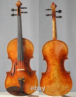 Professional european wood violin Guarneri fiddle 4/4 impressive tone violon