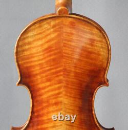 Professional european wood violin Guarneri fiddle 4/4 impressive tone violon