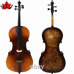 Rare Professional song Cello 4/4 Solid Bird eye maple back old spruce top #14545