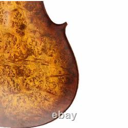 Rare Professional song Cello 4/4 Solid Bird eye maple back old spruce top #14545