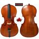 Rare Professional song Master Cello 4/4, solid wood made by hand #14800