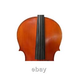 Rare Professional song Master Cello 4/4, solid wood made by hand #14800
