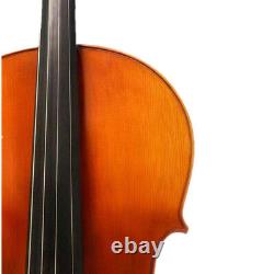 Rare Professional song Mastermade by hand Cello 4/4, quality assurance #15106