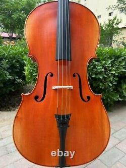 Rare Professional song Mastermade by hand Cello 4/4, quality assurance #15369