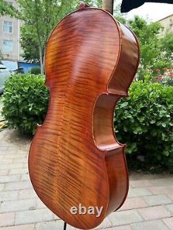 Rare Professional song Mastermade by hand Cello 4/4, quality assurance #15369