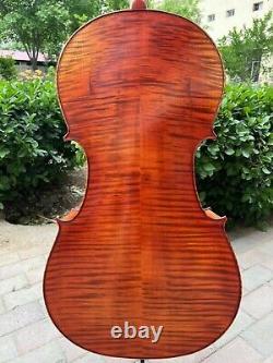Rare Professional song Mastermade by hand Cello 4/4, quality assurance #15370