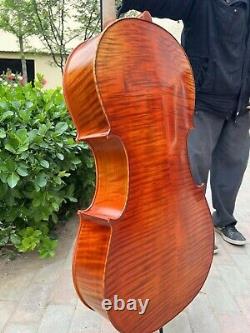 Rare Professional song Mastermade by hand Cello 4/4, quality assurance #15370