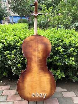 Rare Professional song Mastermade by hand Cello 4/4, quality assurance #15429