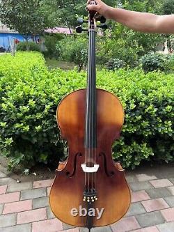 Rare Professional song Mastermade by hand Cello 4/4, quality assurance #15429