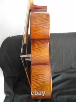 Rare baroque style 14 strings concert 4/4 cello (viola da gamba 30) #11561
