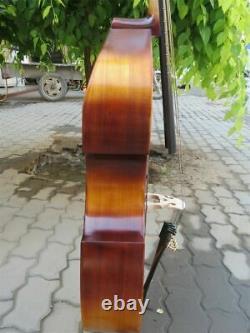 SONG Brand 5 strings viola da gamba 25 1/4 with frets. Great sound