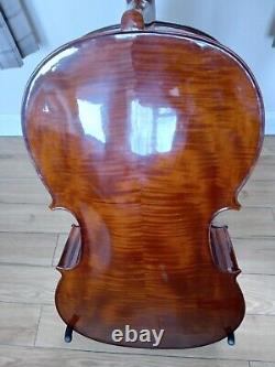 Stentor Conservatoire Full Size Advanced Cello + Bow & Hard Case 4/4 Violoncello