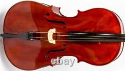 UK Cello 4/4 M-tunes No. 200 wood Luthier workshop