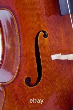 UK Cello 4/4 M-tunes No. 900 wood luthier workshop