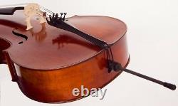 USA Cello 4/4 M-tunes No. 900 wood luthier workshop
