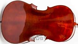 USA Cello 7/8 M-tunes No. 200 wood Luthier workshop