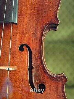 Viola, 16.5in, handmade in England, 1993, with bow and Pedi case