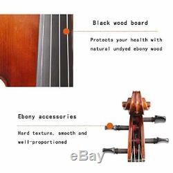 Violin Handmade Solid Wood Violin Expert Grade Bowed Instrument Antique Full Acc