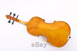 Yinfente Violin 5 string Electric Violin 4/4 Maple Spruce Hand Made Bow+Case